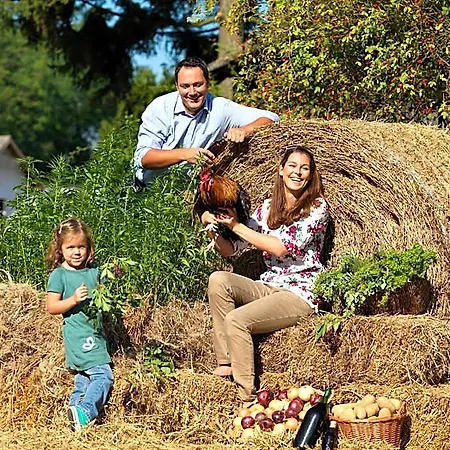 Bed & Breakfast Fruehstueckshaus Wunderland 3*